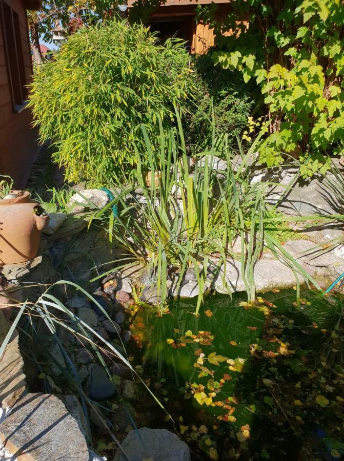 Ferienwohnung Vinico Piechowice  Exterior foto
